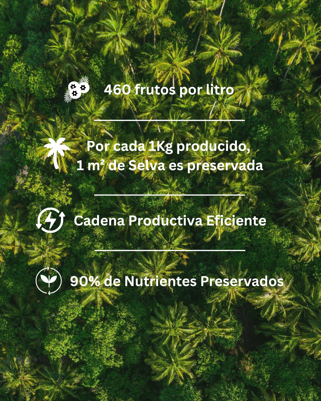 AçaíBox 500ml